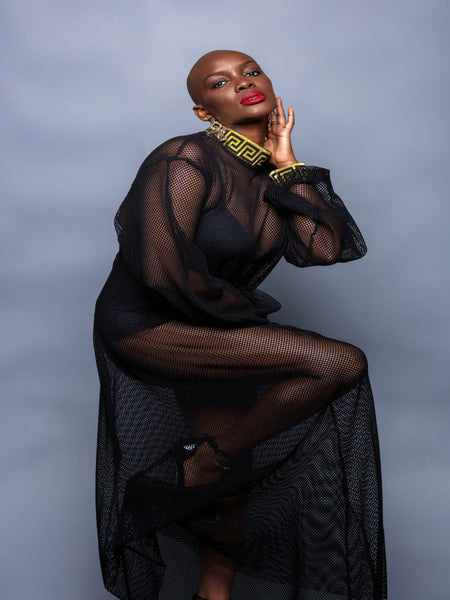Zariah Net Dress